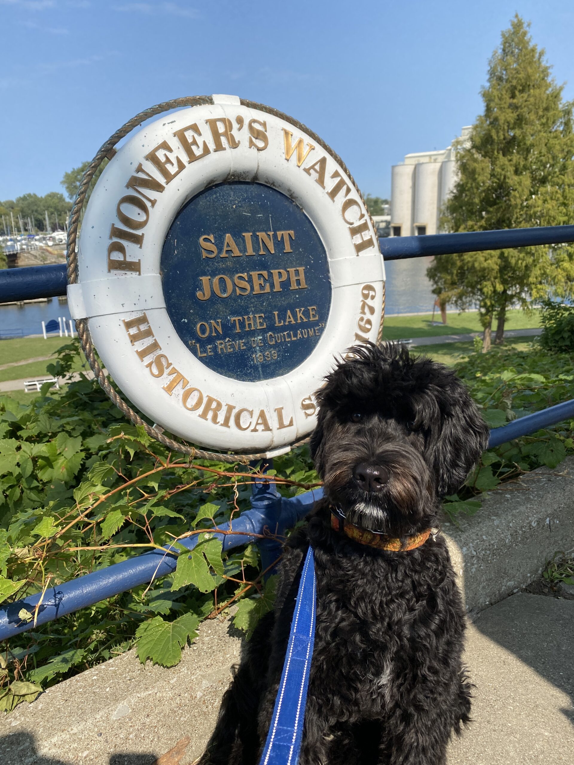 Dog at Saint Joseph sign