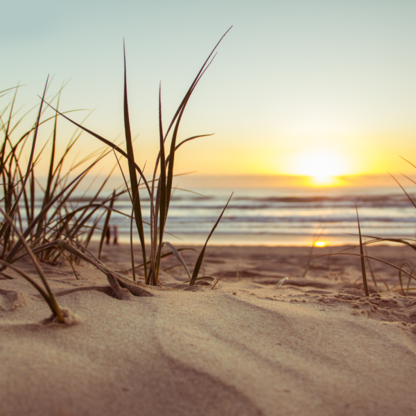 Bags dunes