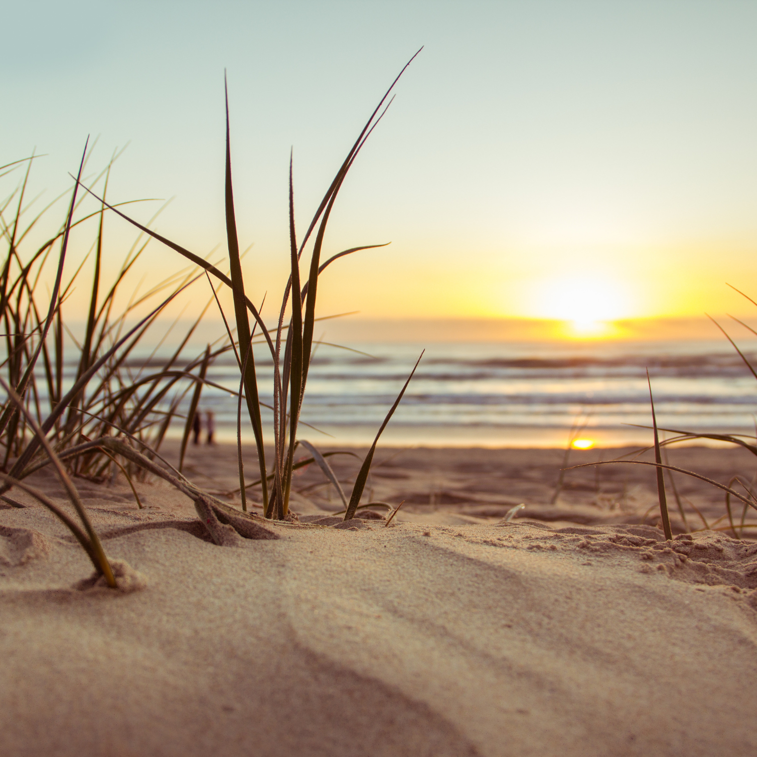 Golden Dunes Subscription